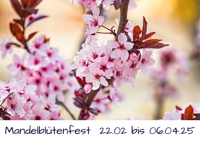 Fuer 6 Personen - Parkplatz - Terrasse - Kueche - Wlan